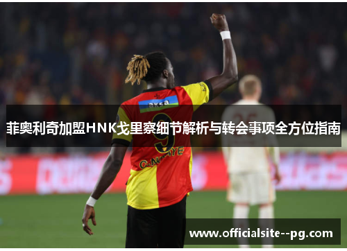 菲奥利奇加盟HNK戈里察细节解析与转会事项全方位指南