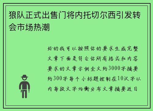 狼队正式出售门将内托切尔西引发转会市场热潮